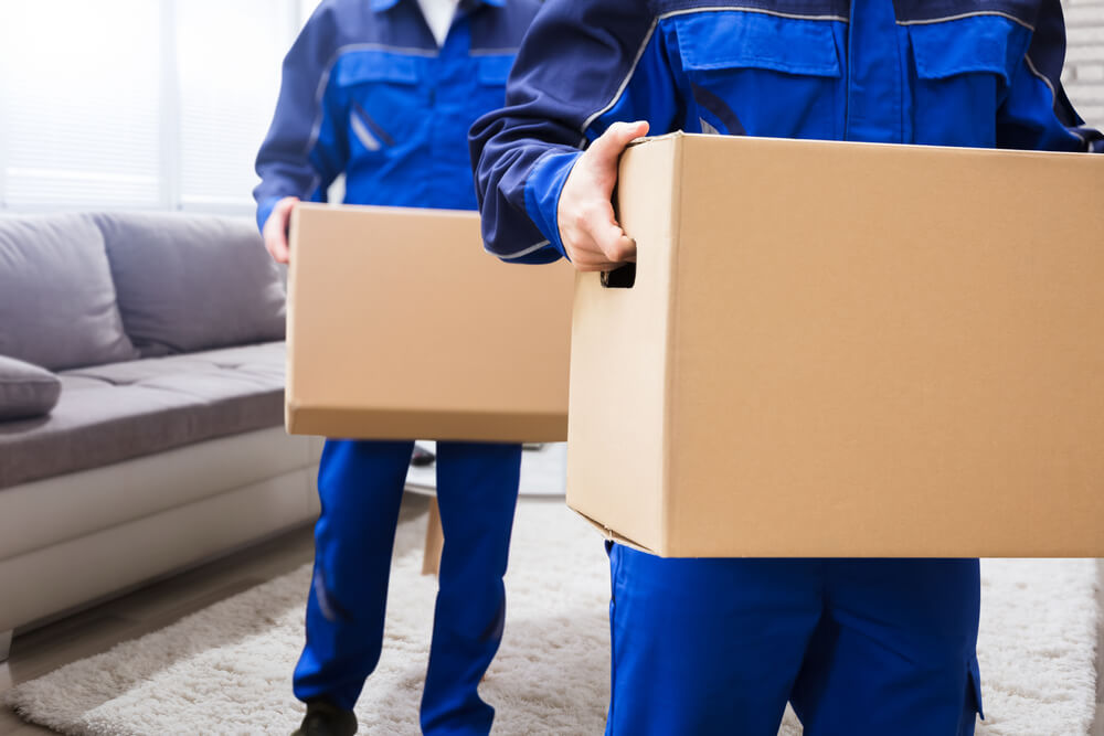International Moving Leads