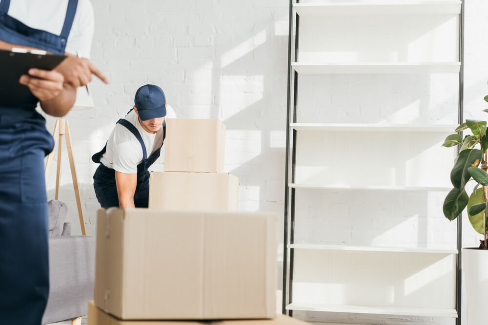 Rehousing Packers And Movers Woodside
